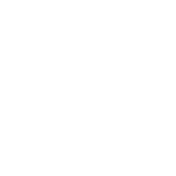 Practical Business Solutions