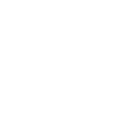 Sustainable Energy Focus